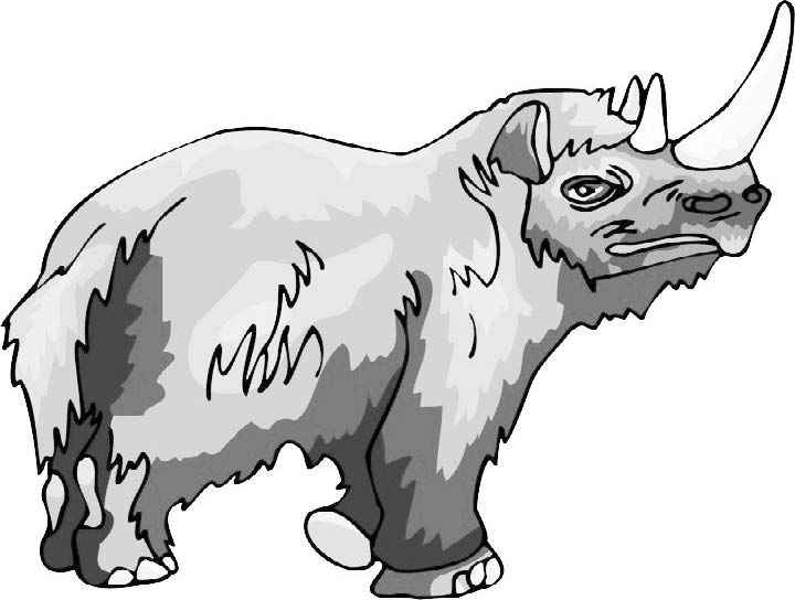 Гиперборейский носорог